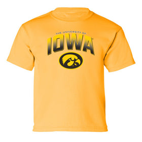 Iowa Hawkeyes Boys Tee Shirt - Full Color IOWA Fade Tigerhawk Oval
