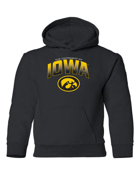 Iowa Hawkeyes Youth Hooded Sweatshirt - Full Color IOWA Fade Tigerhawk Oval