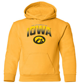 Iowa Hawkeyes Youth Hooded Sweatshirt - Full Color IOWA Fade Tigerhawk Oval