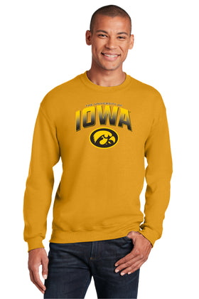 Iowa Hawkeyes Crewneck Sweatshirt - Full Color IOWA Fade Tigerhawk Oval