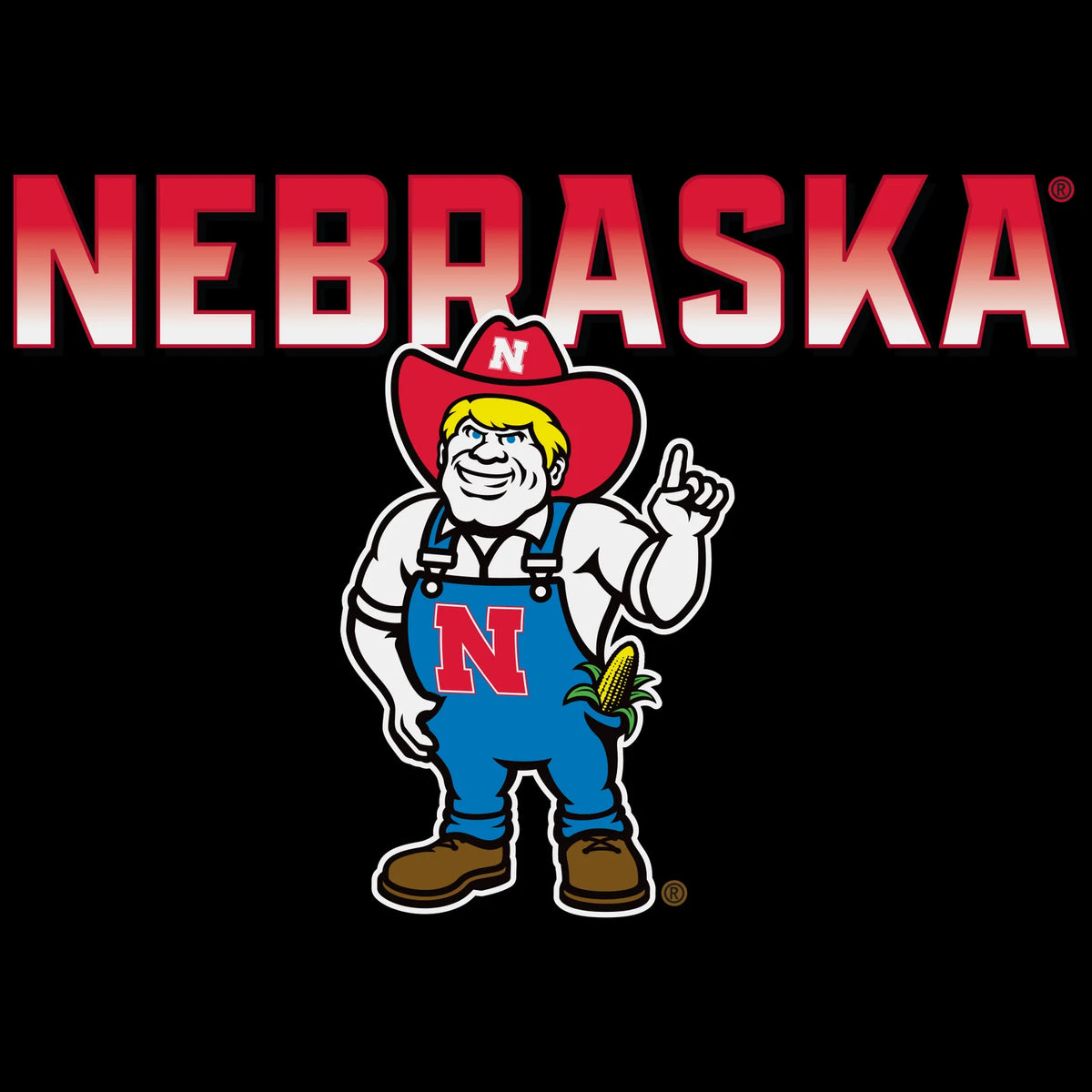 Women's Nebraska Huskers Long Sleeve Hooded Tee Shirt - Full Color Nebraska Fade with Herbie Husker