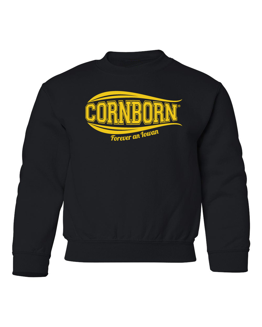 Iowa Hawkeyes Youth Crewneck Sweatshirt - Forever an Iowan