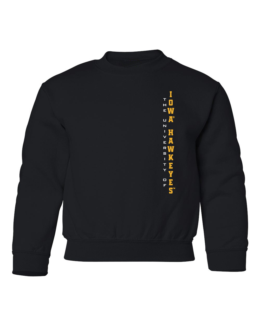 Iowa Hawkeyes Youth Crewneck Sweatshirt - Vertical U of I Hawkeyes