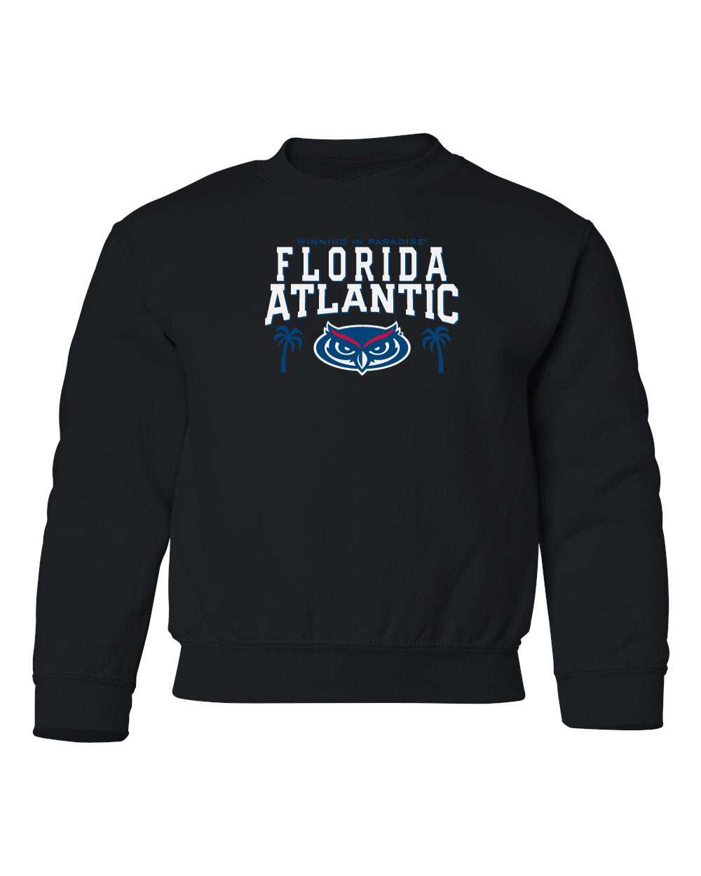 Florida Atlantic Owls Youth Crewneck Sweatshirt - FAU Owls Winning in Paradise