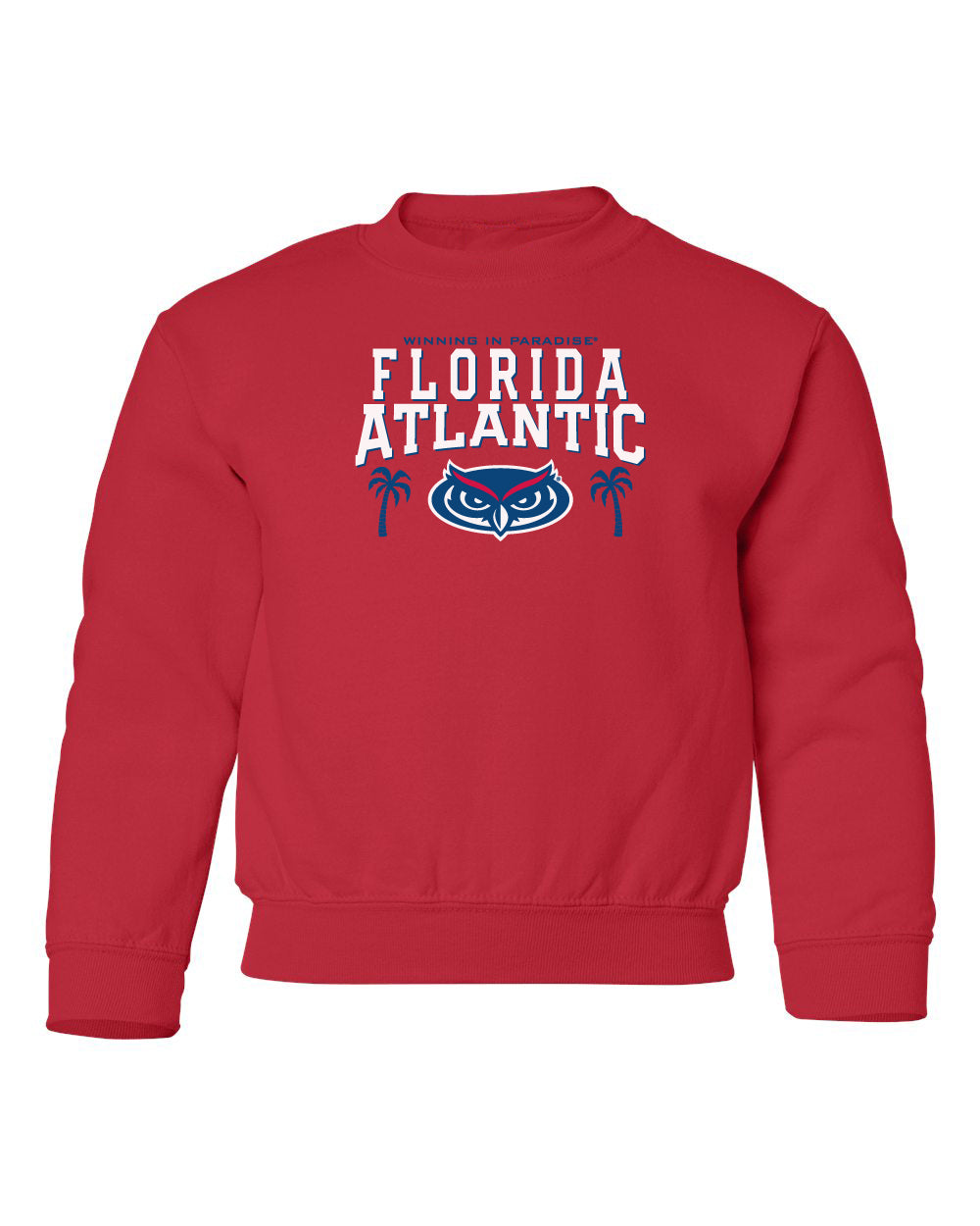 Florida Atlantic Owls Youth Crewneck Sweatshirt - FAU Owls Winning in Paradise