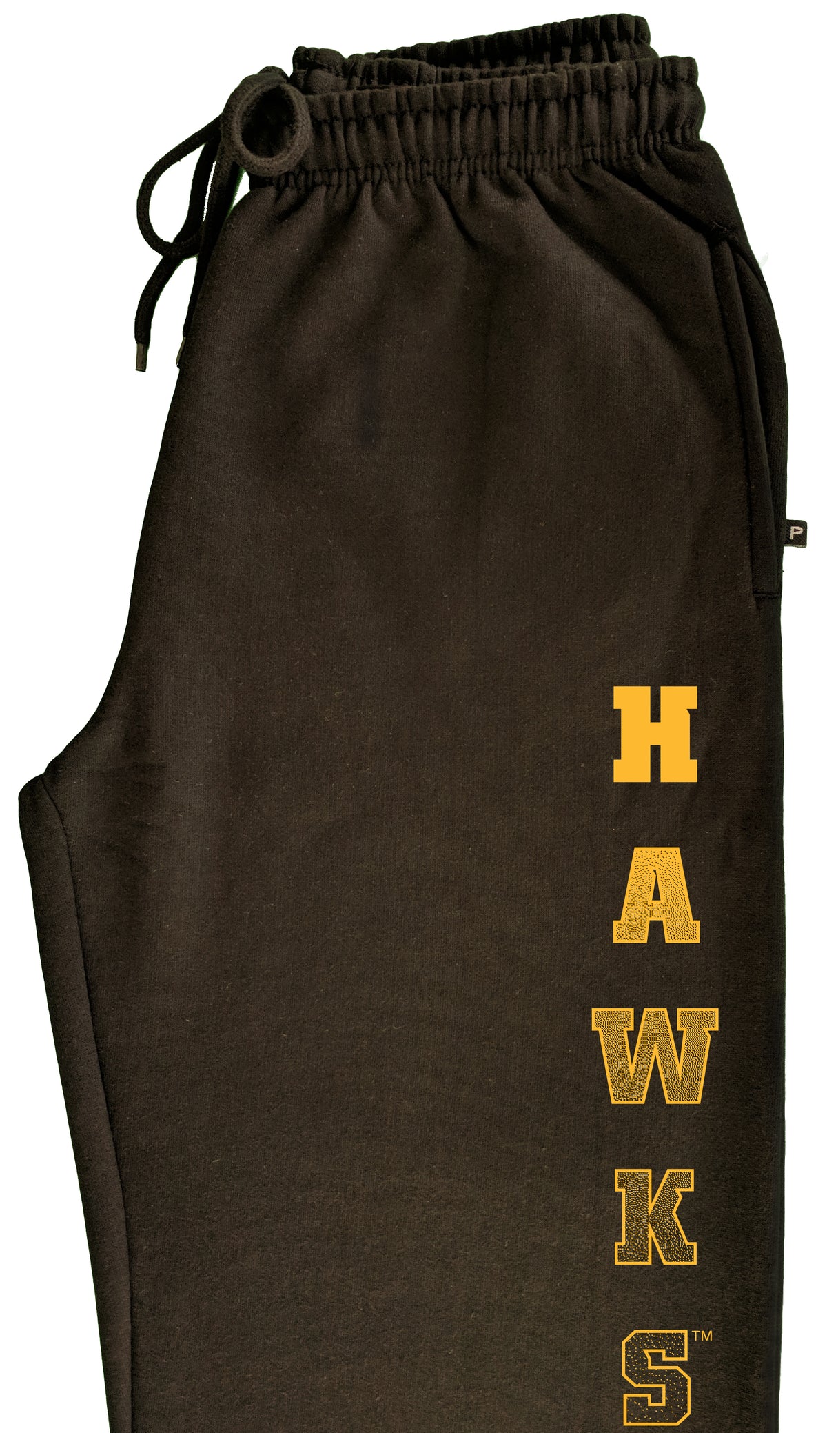 Iowa Hawkeyes Premium Fleece Sweatpants - Vertical Hawks Fade