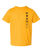 Iowa Hawkeyes Toddler Tee Shirt - Vert Hawks Fade with Tigerhawk