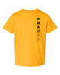 Iowa Hawkeyes Toddler Tee Shirt - Vert Hawks Fade with Tigerhawk