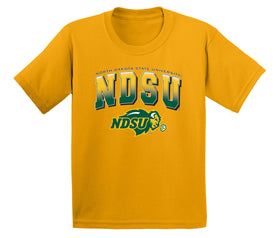 NDSU Bison Boys Tee Shirt - Full Color NDSU Fade with Logo