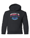 Florida Atlantic Owls Youth Hooded Sweatshirt - FAU Full Color OWLS Fade