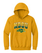 NDSU Bison Youth Hooded Sweatshirt - Full Color NDSU Fade with Logo