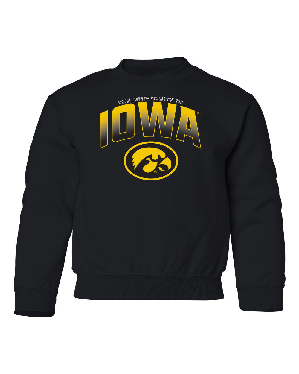 Iowa Hawkeyes Youth Crewneck Sweatshirt - Full Color IOWA Fade Tigerhawk Oval