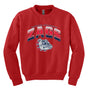Gonzaga Bulldogs Youth Crewneck Sweatshirt - Zags Full Color Fade
