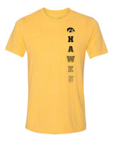 Women's Iowa Hawkeyes Premium Tri-Blend Tee Shirt - Vert Hawks Fade with Tigerhawk