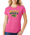 Women's NDSU Bison Premium Tri-Blend Tee Shirt - Full Color NDSU Fade with Logo