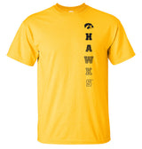 Iowa Hawkeyes Tee Shirt - Vert Hawks Fade with Tigerhawk