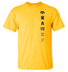 Iowa Hawkeyes Tee Shirt - Vert Hawks Fade with Tigerhawk