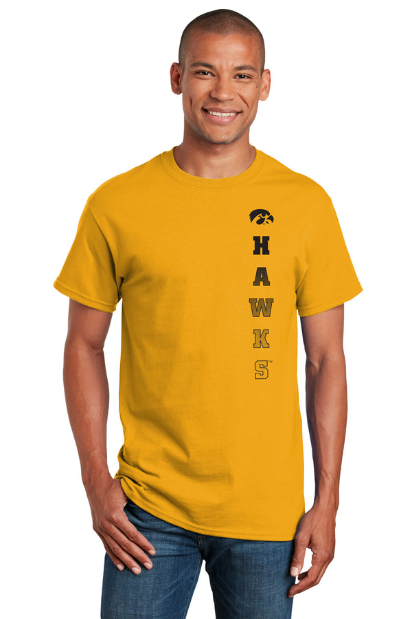 Iowa Hawkeyes Tee Shirt - Vert Hawks Fade with Tigerhawk