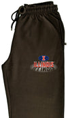 Illinois Fighting Illini Premium Fleece Sweatpants - Spotlight and Shadow Illinois