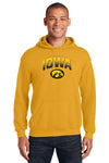 Iowa Hawkeyes Hooded Sweatshirt - Full Color IOWA Fade Tigerhawk Oval