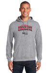 Houston Cougars Hooded Sweatshirt - Full Color Fade with Cougar