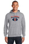 Illinois Fighting Illini Hooded Sweatshirt - Full Color Fade Illinois Arch