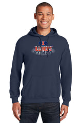 Illinois Fighting Illini Hooded Sweatshirt - Spotlight and Shadow Illinois