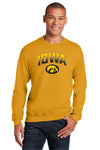 Iowa Hawkeyes Crewneck Sweatshirt - Full Color IOWA Fade Tigerhawk Oval