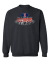 Illinois Fighting Illini Crewneck Sweatshirt - Spotlight and Shadow Illinois