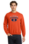 Illinois Fighting Illini Crewneck Sweatshirt - Full Color Fade Illinois Arch