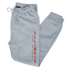 Illinois Fighting Illini Premium Fleece Joggers - Vertical Illinois Fighting Illini