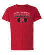 Nebraska Huskers Premium Tri-Blend Tee Shirt - Full Color Huskers Fade with Block N
