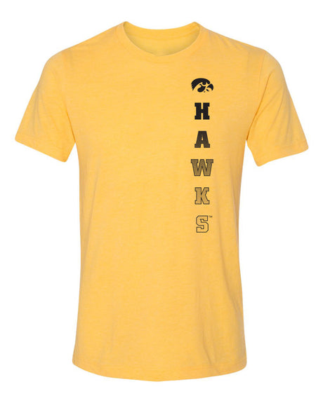 Iowa Hawkeyes Premium Tri-Blend Tee Shirt - Vert Hawks Fade with Tigerhawk
