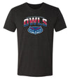 Florida Atlantic Owls Premium Tri-Blend Tee Shirt - FAU Full Color OWLS Fade