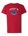 Florida Atlantic Owls Premium Tri-Blend Tee Shirt - FAU Full Color OWLS Fade