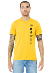 Iowa Hawkeyes Premium Tri-Blend Tee Shirt - Vert Hawks Fade with Tigerhawk