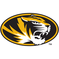 Missouri tigers primary logo swatch