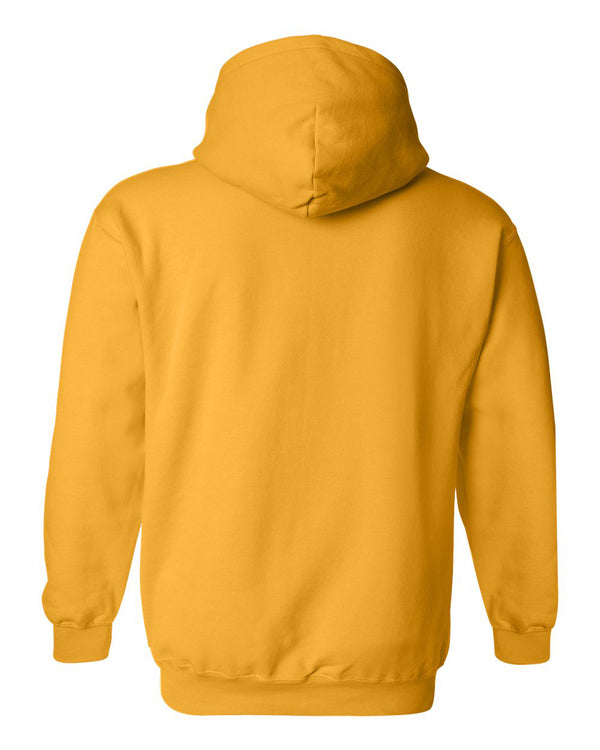 Iowa Hawkeyes Hooded Sweatshirt - Full Color IOWA Fade Tigerhawk Oval