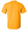 Iowa Hawkeyes Tee Shirt - Full Color IOWA Fade Tigerhawk Oval