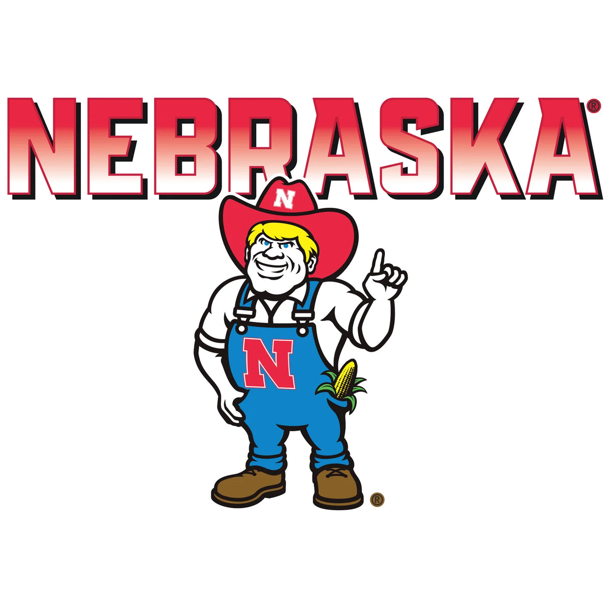 Women's Nebraska Huskers Long Sleeve Hooded Tee Shirt - Full Color Nebraska Fade with Herbie Husker