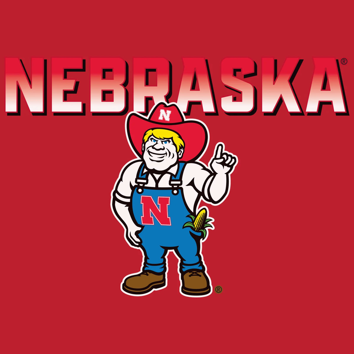 Women's Nebraska Huskers Long Sleeve Hooded Tee Shirt - Full Color Nebraska Fade with Herbie Husker