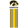 Women's Iowa Hawkeyes Long Sleeve V-Neck Tee Shirt - Vert Stripe with Tigerhawk