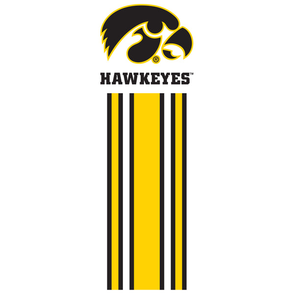 Iowa Hawkeyes Tee Shirt - Vert Stripe with Tigerhawk