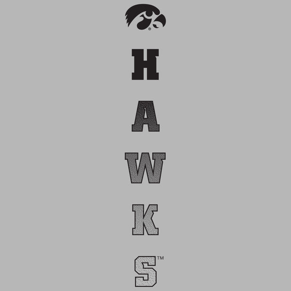 Iowa Hawkeyes Tee Shirt - Vert Hawks Fade with Tigerhawk