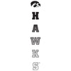 Women's Iowa Hawkeyes Long Sleeve V-Neck Tee Shirt - Vert Hawks Fade with Tigerhawk