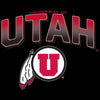 Utah Utes Boys Tee Shirt - Full Color Fade Utah Utes Logo