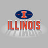 Illinois Fighting Illini Hooded Sweatshirt - Spotlight and Shadow Illinois