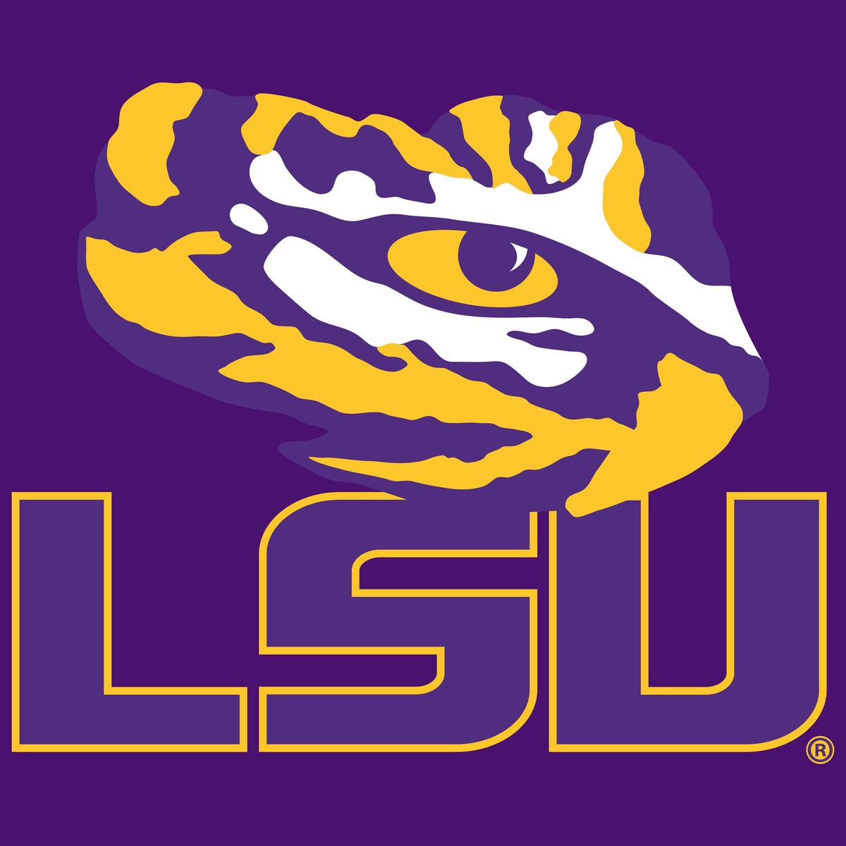 LSU Tigers Boys Tee Shirt - Tiger Eye LSU