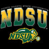 Women's NDSU Bison Long Sleeve V-Neck Tee Shirt - Full Color NDSU Fade with Logo