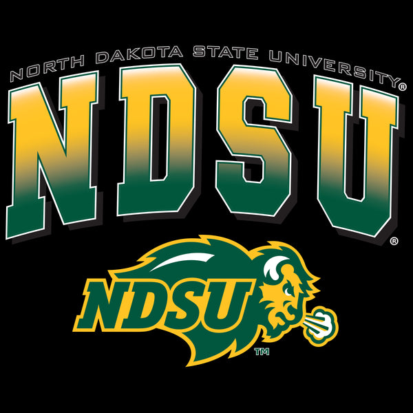 Women's NDSU Bison Long Sleeve V-Neck Tee Shirt - Full Color NDSU Fade with Logo